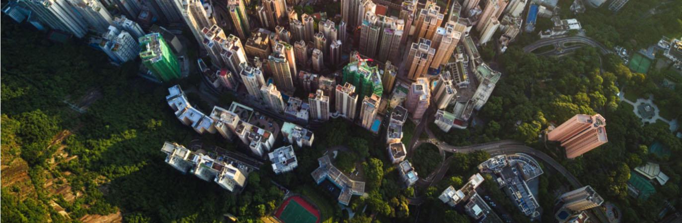 Bird's eye view of a city with skyscrapers and trees